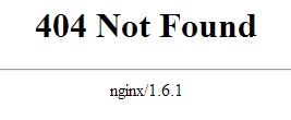 NGNINX server tokens enabled NGNINX server tokens enabled